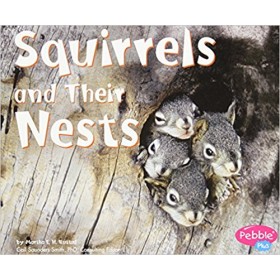 Squirrels and Their Nests (Animal Homes Hardback) by Martha E. Rustad